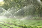 Mannerimlandscaping-water-management-and-drainage-17.jpg; ?>